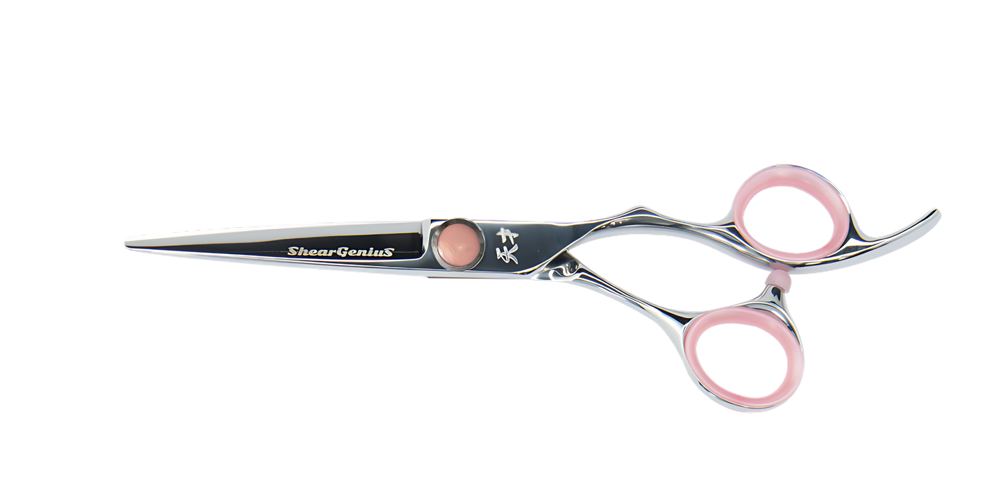 Young Genius Hairdressing Scissor and Thinner Bundle