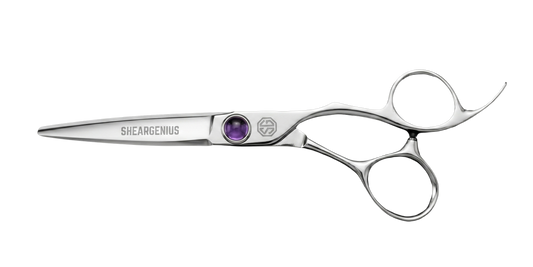 Apex Professional Hairdressing Scissors - top down, amethyst screw