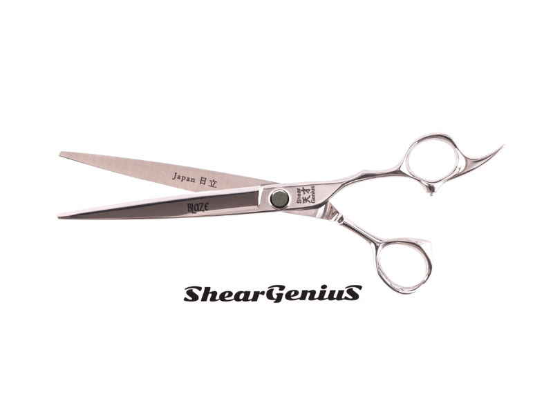 ShearGenius Hairdressing Scissor 6.5 / Silver Barberella Professional Hairdressing scissor