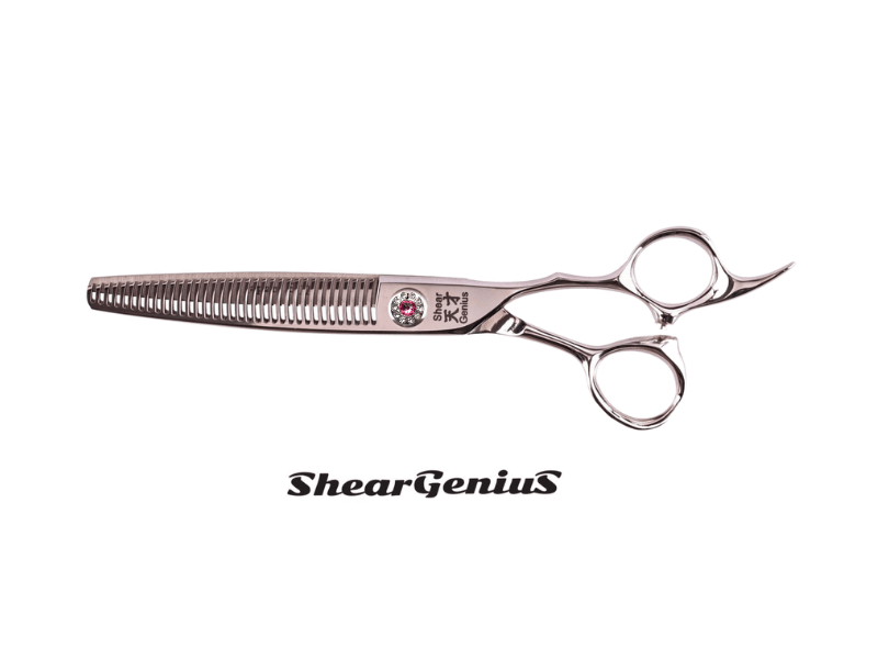 Barberella Professional Thinners High-Quality Professional Hairdressing Scissors