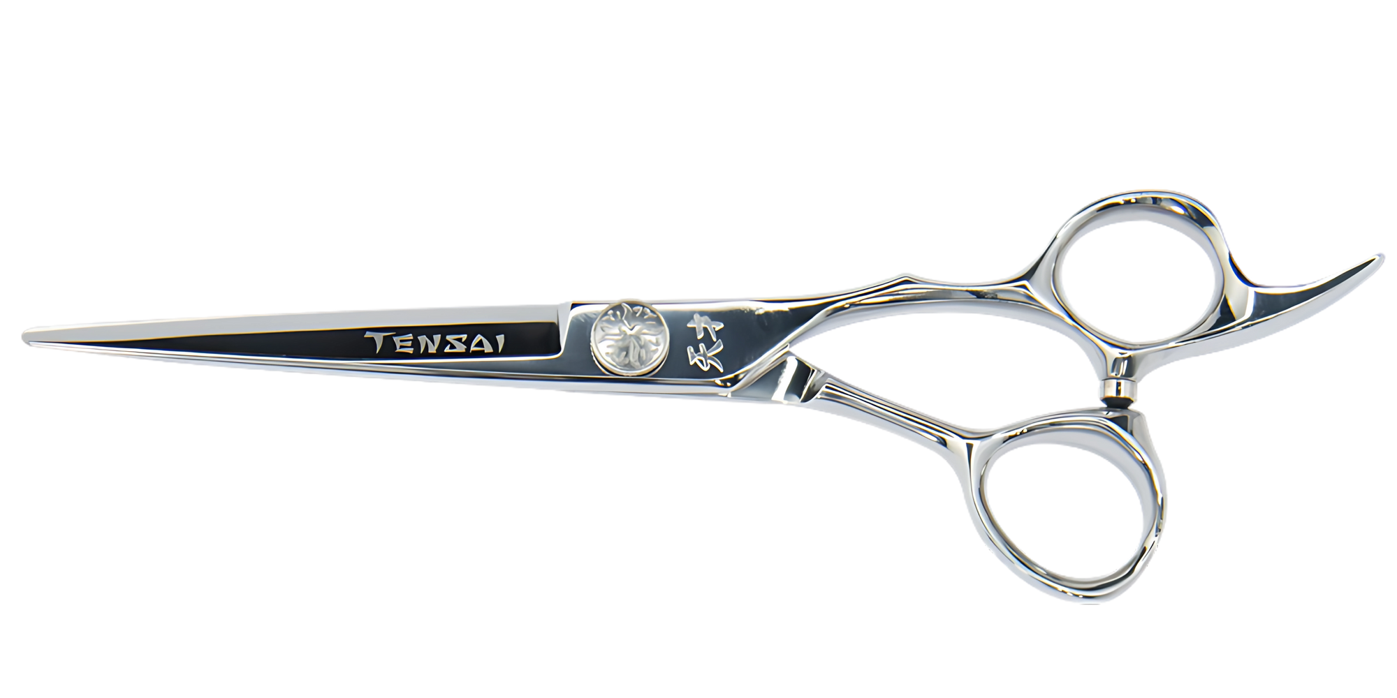 Prodigy Professional Hairdressing Scissors - Professional Hairdressing Scissors by ShearGenius