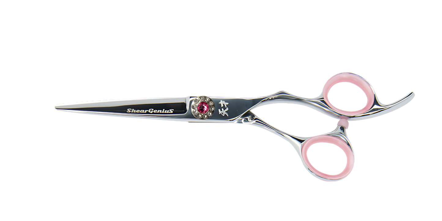 Young Genius 5.5 Professional Hairdresser Scissor