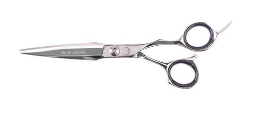 Slider Professional Hairdressing scissor