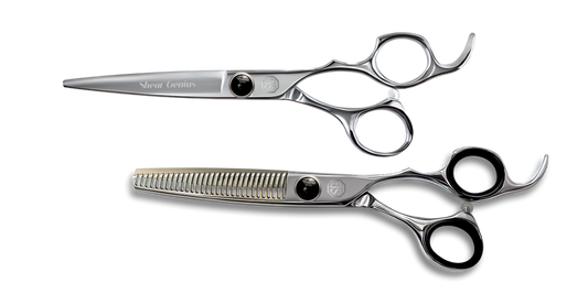 Firebird Scissor and Thinner Bundle