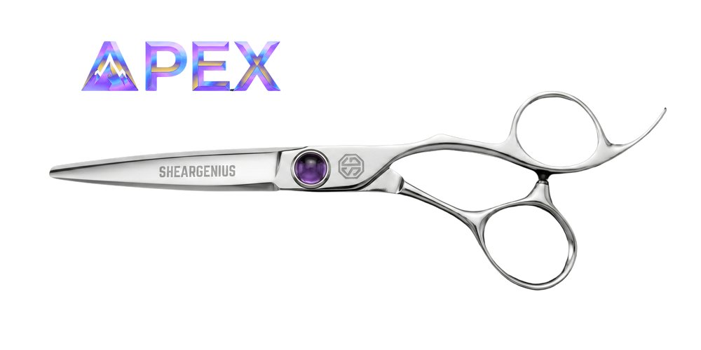 Apex hairdressing scissor logo wordmark