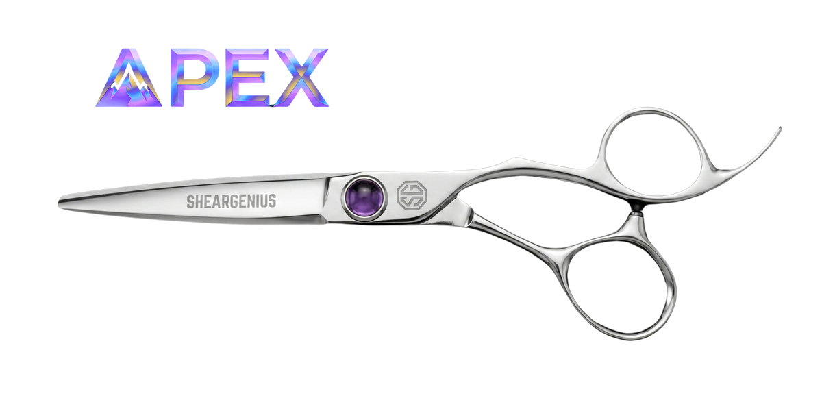 Apex hairdressing scissor logo wordmark