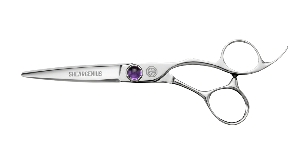 Apex Professional Hairdressing Scissors