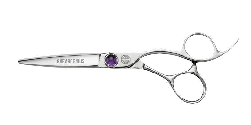 Apex Professional Hairdressing Scissors