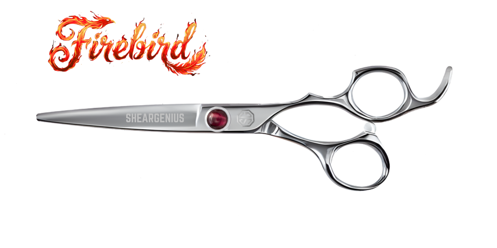 Firebird hairdressing scissor logo wordmark