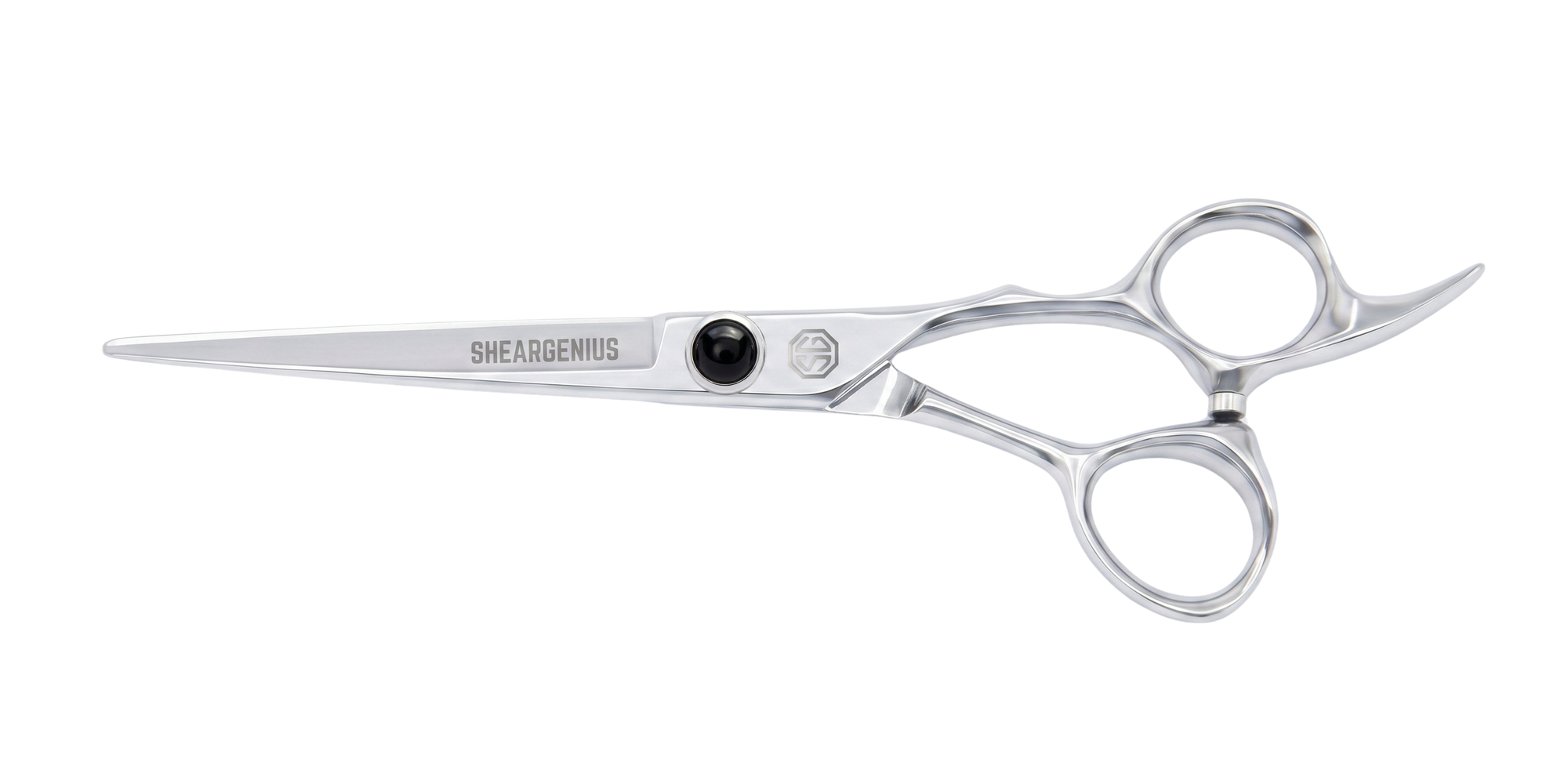 Prodigy Professional Hairdressing Scissors