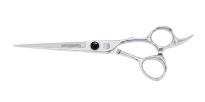 Prodigy Professional Hairdressing Scissors