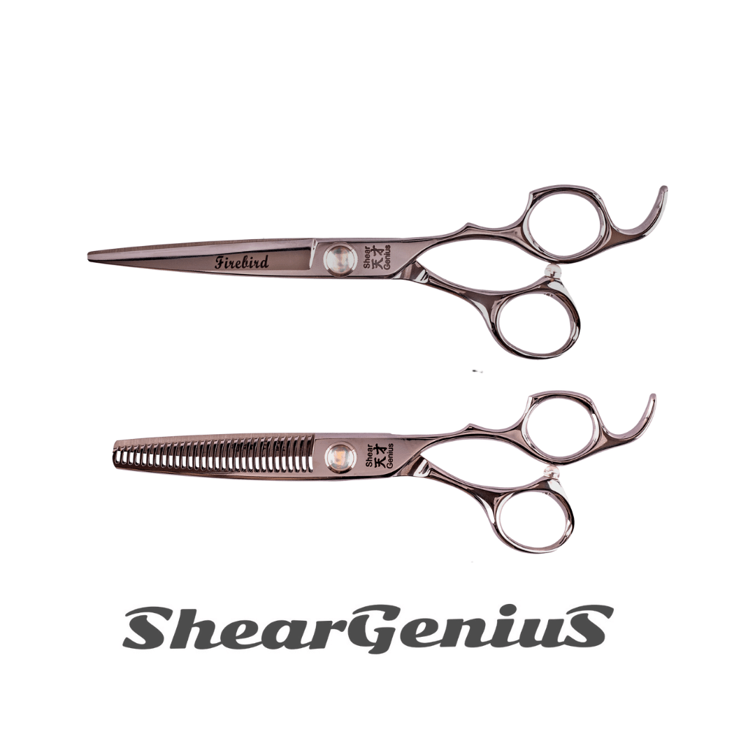 6.5 Firebird Scissor and Thinner Bundle High-Quality Professional Hairdressing Scissors